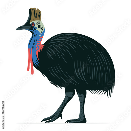 Cassowary