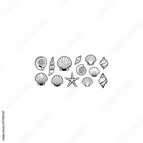 Hand drawn sea shells set with doodle style. line art sea shell background vector illustration. 