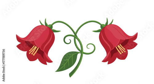A decorative illustration with two red bellflowers on gracefully intertwined green stems and a single leaf, symmetrical and vibrant on white.