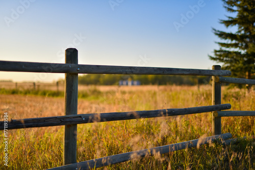 fence on the meadow