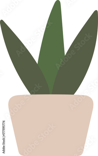 green plant in a pot