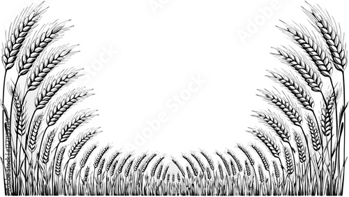 Elegant wheat field illustration with vintage charm, perfect for food packaging or rustic design projects, evoking natural beauty and agricultural themes