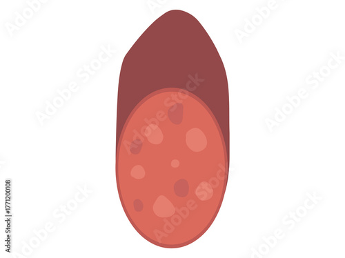 Sliced Sausage Salami
