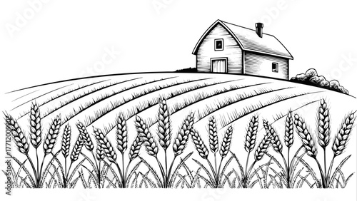 Serene farm landscape featuring a rustic barn nestled amidst a golden wheat field, evoking feelings of peace, harvest, and simple country living