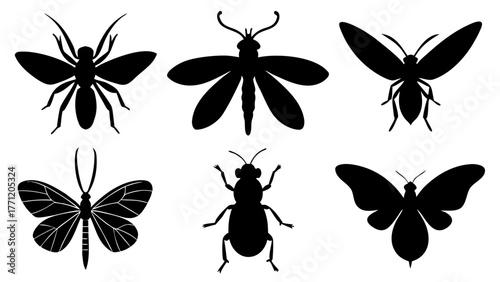 Assorted insect silhouettes featuring butterflies beetles and other bugs in black