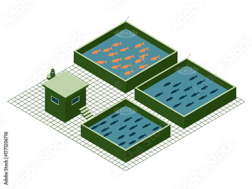 Aquaculture fish farm, square rearing ponds with office building, walkway grids, sustainable seafood production, isometric agriculture vector