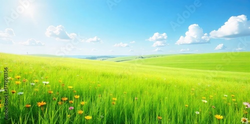 Vast expanse of untouched prairie grass swaying gently in the breeze, wildflowers scattered throughout, a serene and peaceful landscape under a clear blue sky , grassland, country