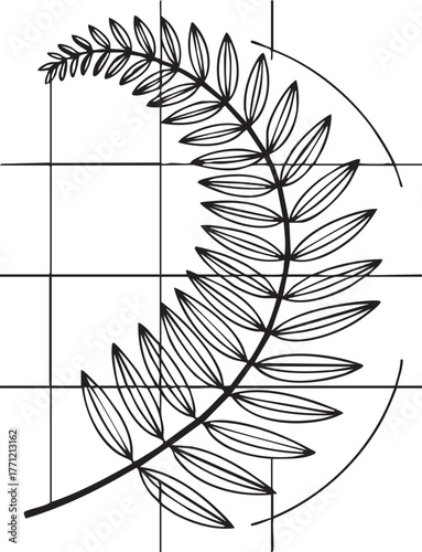 Black fern frond with grid and arc graphic leaf plant