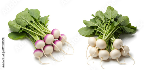 Young turnip bunches with roots and green leaves on white background  