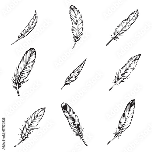 Feather Pin Elegance Shines With Every Outfit