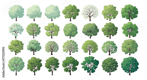 Collection of Stylized Trees on White Background graphic isolated on a transparent background