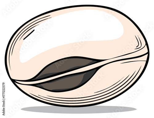 Single bean illustration with detailed shading and outlining on plain background, simple design