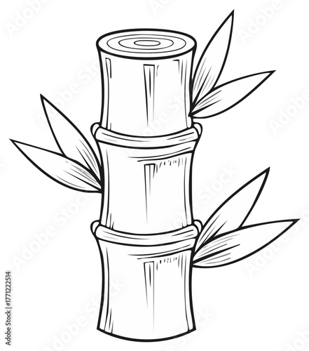 Simple black and white line art illustration of an isolated bamboo stalk with leaves
