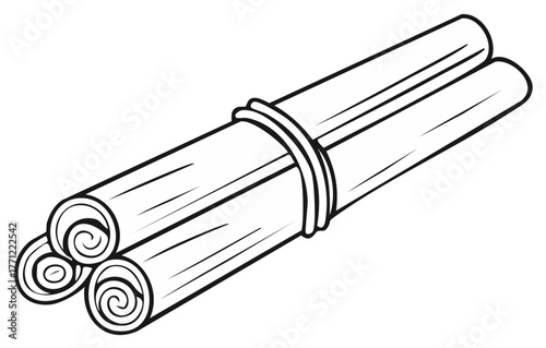 Cinnamon sticks tied together in an isolated line art illustration.
