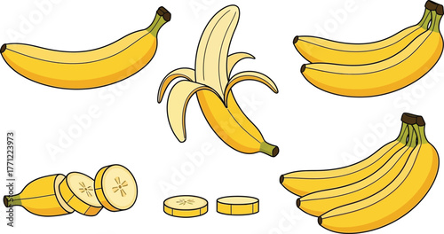 Collection of fresh ripe bananas various stages of preparation for healthy eating delight isolated on transparent background