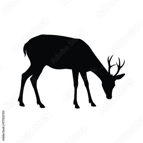 Black silhouette of a deer grazing in a field on a white background, deer grazing silhouette vector illustration