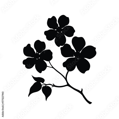 Silhouette of Dogwood Flowers Blooming with Leaves on a Single Branch Isolated, dogwood branch silhouette vector illustration