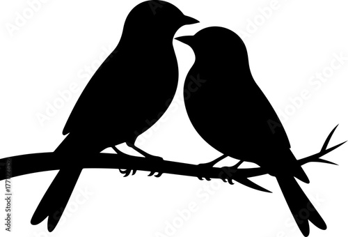 doodle of a two birds perched closely on a branch