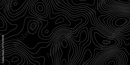 white background with abstract topographic whit color grid line topo map black background., depicting elevation changes in an abstract representation	