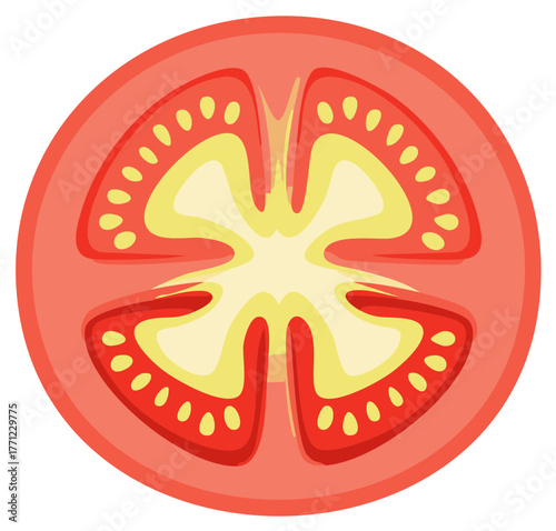 Vibrant red tomato slice showing seeds and pulp in a clean flat vector illustration style