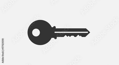 Classic key icon symbol for security access and unlock solutions simple design isolated on white background