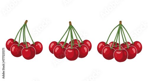 Three bunches of ripe red cherries isolated on a white surface for fresh fruit imagery isolated on white background