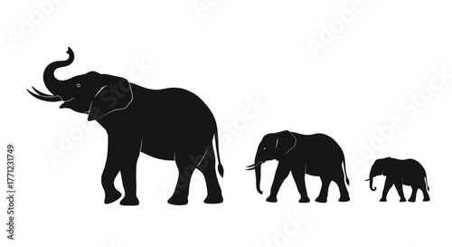 Silhouettes of three elephants of varying sizes walking in succession wildlife representation isolated on white background