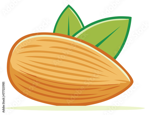 A single almond with two green leaves symbolizing nature and healthy food