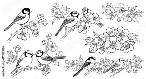 Artistic sketch of birds perched on blooming branches in delicate line art style isolated on white background