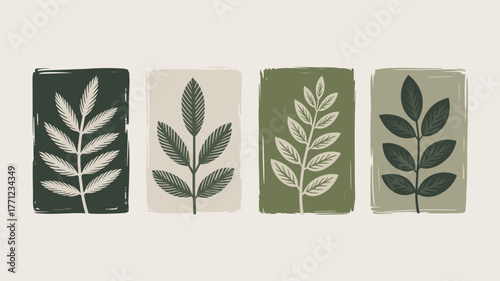 Four botanical illustrations in muted green and beige tones