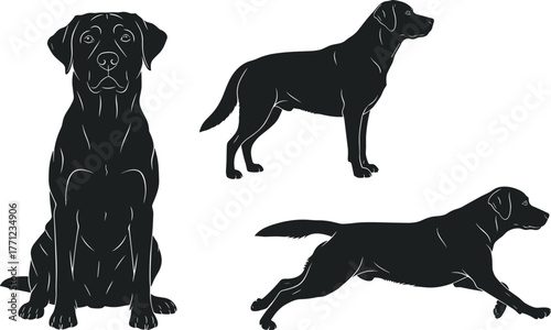 Set of Black Labrador Retriever Dog Silhouette Vector Illustration