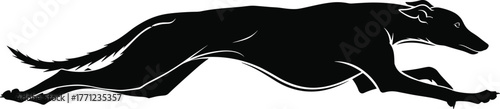 Black Silhouette of Running Greyhound Dog Vector Illustration