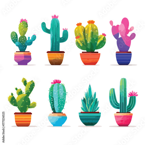 cactus in pots