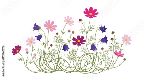 Whimsical garden illustration featuring various cosmos and blue bellflowers with artistic swirling stems, creating a vibrant floral display on white.