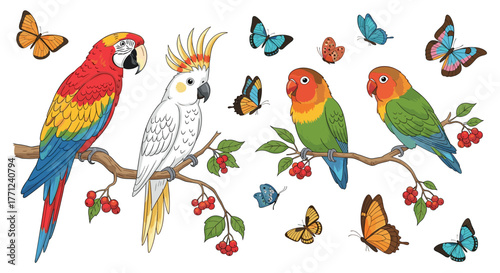 Colorful tropical birds and butterflies perched on branches with red berries against a white background.