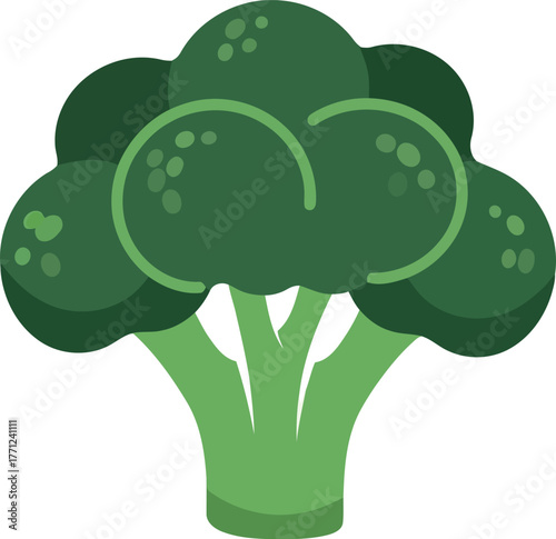 Fresh broccoli icon healthy green vegetable isolated graphic vector