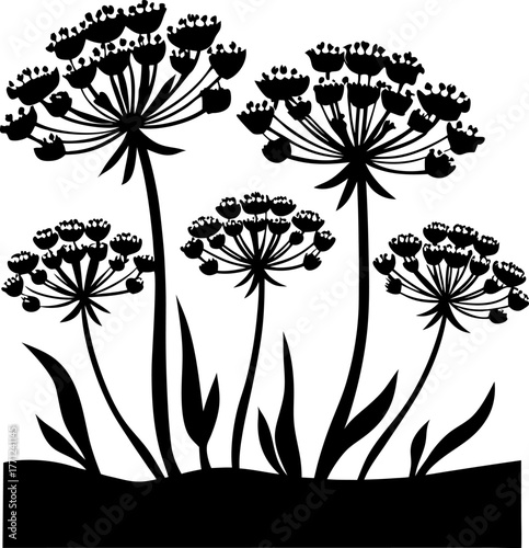 Silhouette of wild fennel flowers and foliage, black botanical illustration of meadow plants isolated on white background