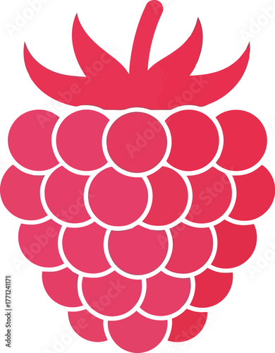 Vibrant raspberry icon fresh fruit vector illustration vector
