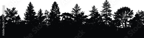 Black silhouette illustration of dense forest with varied tree shapes—woodland texture, botanical diversity, nature sketch, landscape design concept 