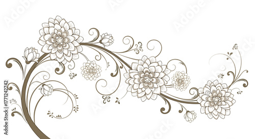 Elegant brown floral scroll with dahlia flowers and swirling decorative elements on a white background.
