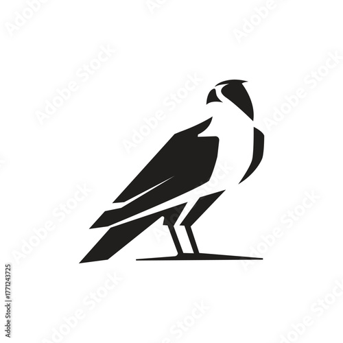 Eagle crest logo icon template design template, Falcon sign vector emblem