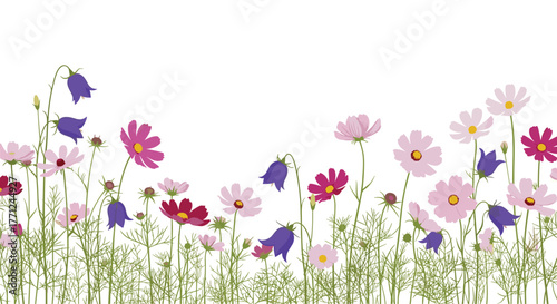 Colorful horizontal border featuring pink, white, and fuchsia cosmos flowers and purple bellflowers with green foliage against a pristine white background.