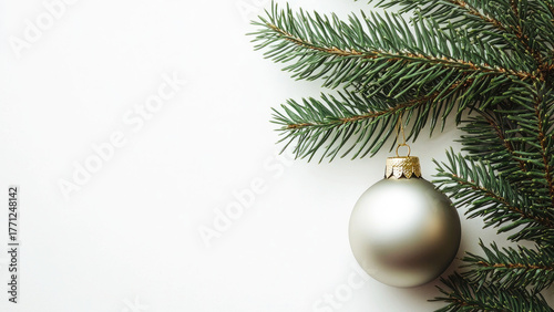  Minimalist Christmas decoration  an elegant green branch with a silver ball on a pure white background