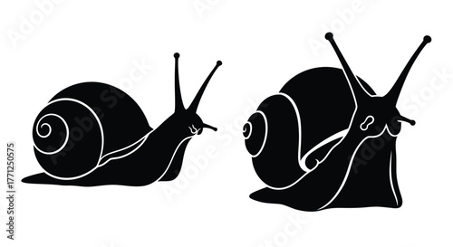 Two black silhouettes of snails with detailed shells and antennae shown