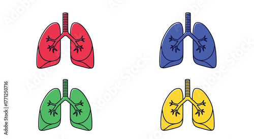 Anatomical illustration displaying colorful human lungs in a simple graphic style