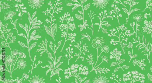 Seamless pattern of handdrawn botanical elements on a green background