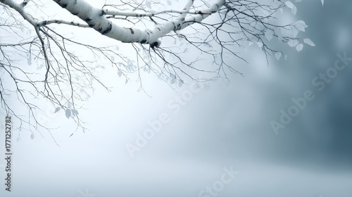 Ethereal birch branches in soft focus with misty haze backdrop creating a dreamy, tranquil mood for artistic and naturethemed compositions