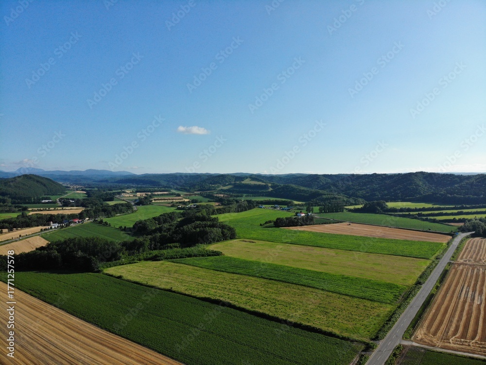 Fototapeta premium Aerial Panorama of Patchwork Farmland, Rolling Hills and Country Road in Hokkaido, Japan