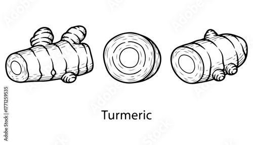 Detailed line art illustration of three turmeric root pieces, showcasing different views.