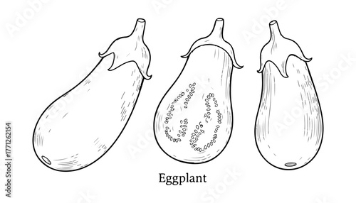 Three eggplants are illustrated in black and white, with one showing the interior seeds.